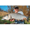 Przynęta Savage Gear Wirujący Ogonek Fat Tail 6,5cm 16g - Blue Silver