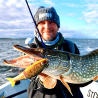 Wobler na Szczupaka Rapala Super Shadow Rap Glide 11cm - Live Perch