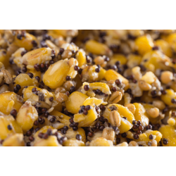 Ziarno zanętowe Mivardi Particle Mix 2,5kg