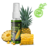Dip smużący w sprayu Delphin AromaX - Kukurydza / Ananas
