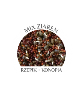 CARP OLD SCHOOL MIX ZIAREN WOREK 5 KG zapach śliwki suszonej