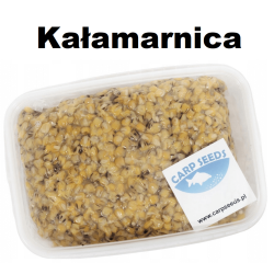 Karpfenfutter Carp Seeds Eimer - Squid / Kalmar 4kg