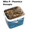 Ziarna zanętowe Carp Seeds Miks P - Hanf / Weizen 8kg