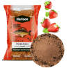 Fishing groundbait Harison Big Carp - Strawberry 3kg