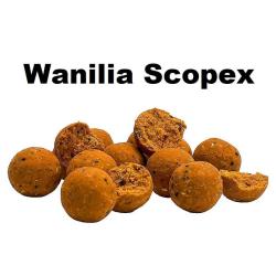 Meus Focus 18mm Bait Pellets - Vanilla Scopex 1kg by weight