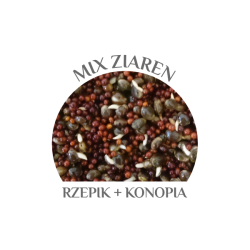 CARP OLD SCHOOL MIX ZIAREN WOREK 5 KG zapach śliwki suszonej