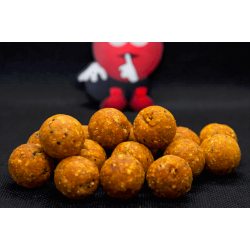 Boilies Schnell Arbeitend Dudi Bait - Amur / Tiger Nüsse 20mm 5kg