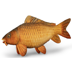 Plush carp pillow Delphin Carpy 60cm