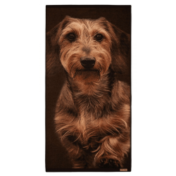 copy of FOX Handtuch Green Silver