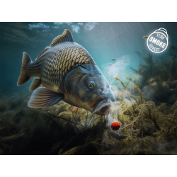 Delphin D-Snax Shell Wafters 12mm - Losos / Rak