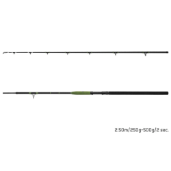 Wędka sumowa Delphin Energy Catfish 250cm 250-500g