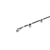 Wędka sumowa Delphin Energy Catfish 250cm 250-500g