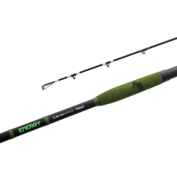 Wędka sumowa Delphin Energy Catfish 280cm 250-500g