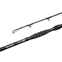 Wędka sumowa Delphin Hazard DarX 255cm 500g