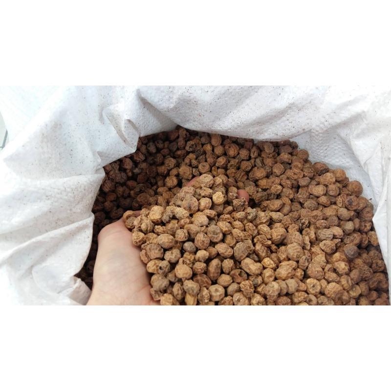 Zanęta Harison Gold Line - ORZECH TYGRYSI 1kg