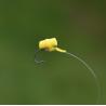 Zig Riga Undercarp Positioner - Yellow Black