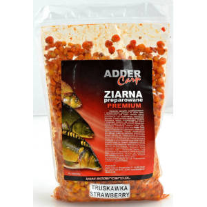 Fertiger Karpfenköder Adder Carp Premium - Erdbeere 1kg
