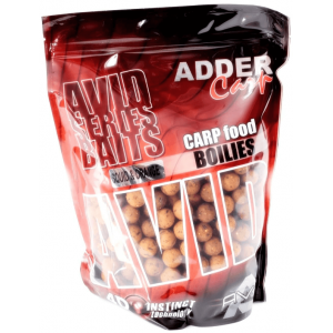 Adder Carp Avid 16mm - Squid Orange 1kg Boilies