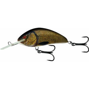 Wobbler Salmo Hornet Schwimmend 9cm Natural Tench Floating