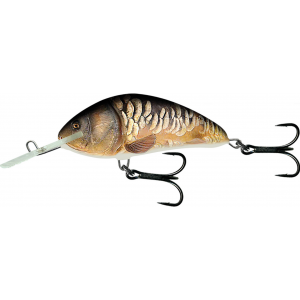 Wobbler Salmo Hornet Schwimmend 9cm Natural Mirror Carp Float