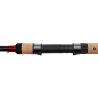 Feeder Rod Delphin Leeder 330cm 100g + 2 tips