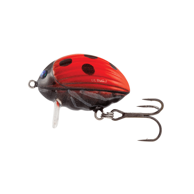 Wobler Kleniowy Salmo Lil Bug Pływający 2cm Lady Bird
