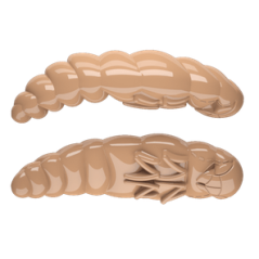 Libra Lures Largo 35mm Krill 035 - Pellets 1 Stück