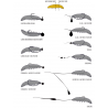 Libra Lures Larva 35mm Krill 035 - Pellets 1szt