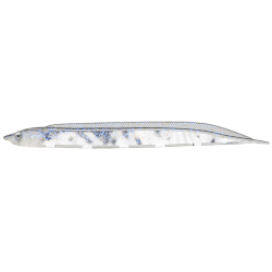 Guma Fish Arrow Flash-J Shirasu 3" 7,5cm - SW Crystal Lame