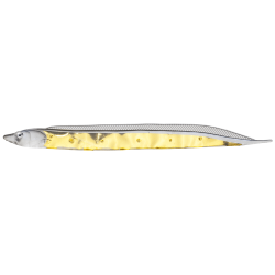 Guma Fish Arrow Flash-J Shirasu 3" 7,5cm - SW Clear Gold