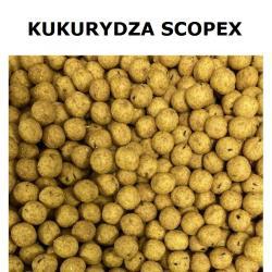 Kulki proteinowe na karpia Stalomax startup Kukurydza Scopex 24mm 1kg LUZ