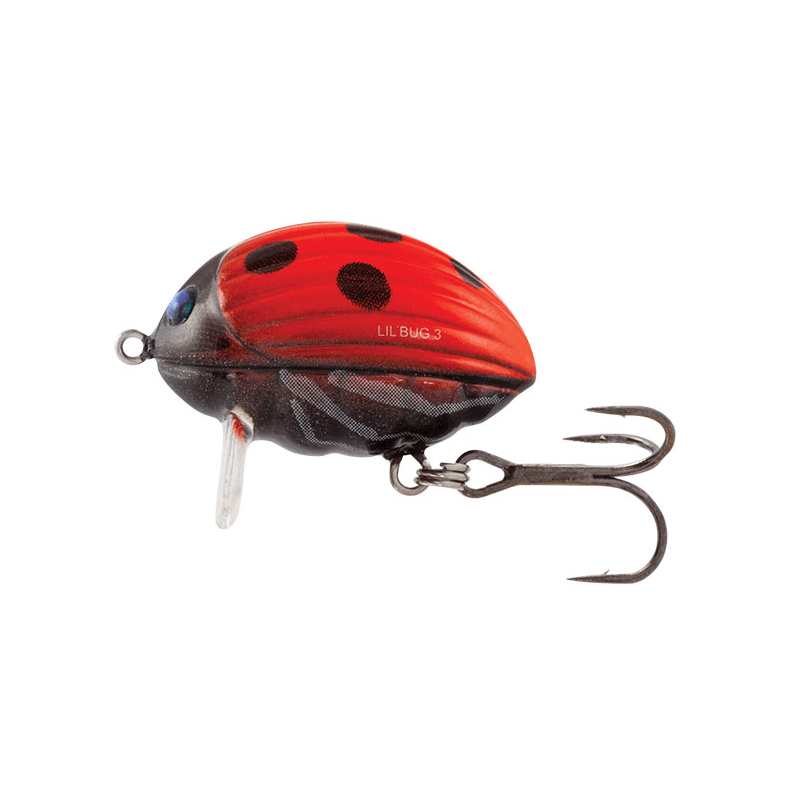 Wobbler Kleniowy Salmo Lil Bug Schwimmend 3cm Lady Bird