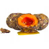 Kulki Haczykowe LK Baits Nutrigo - Amur Herb Nectar 20mm 150ml