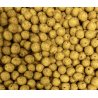 Kulki proteinowe na karpia Stalomax startup Citrus 16mm 1kg LUZ