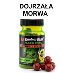 Mini OIL Hookbaits Tandem Baits - Ripe Mulberry 12mm 50g