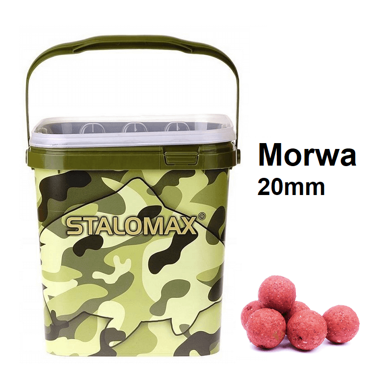 Kulki proteinowe na karpia Stalomax startup Morwa 20mm 3kg