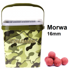 Kulki proteinowe na karpia Stalomax startup Morwa 16mm 3kg