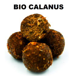 Návnadové kuličky Massive Baits 14mm - Bio Calanus 1kg