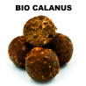Kulki zanętowe Massive Baits 14mm - Bio Calanus 1kg