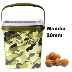Kulki proteinowe na karpia Stalomax startup Wanilia 20mm 3kg