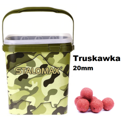 Kulki proteinowe na karpia Stalomax startup Truskawka 16mm 3kg