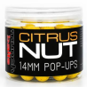 Kulki Pływajace Munch Baits Pop-up Citrus Nut 14mm