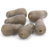 Preston ICS Quick Change Beads LARGE Schnellwechsler für Methode
