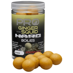Kulki haczykowe Starbaits Hard - Pro Ginger Squid 24mm 200g