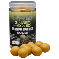 Starbaits Hard Hakenköder - Pro Ginger Squid 24mm 200g