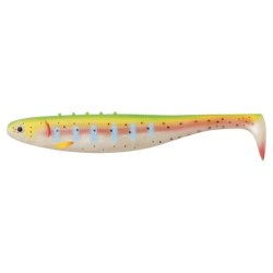 Guma na Szczupaka Dragon Flash 20cm - Rainbow Trout