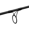 Delphin Arzenal LS+ carp rod 360cm 3lbs 2 sections
